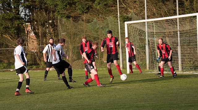 詹姆斯的统 詹姆斯的统