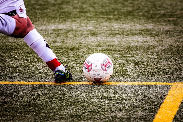 孙颖莎在多 孙颖莎在多