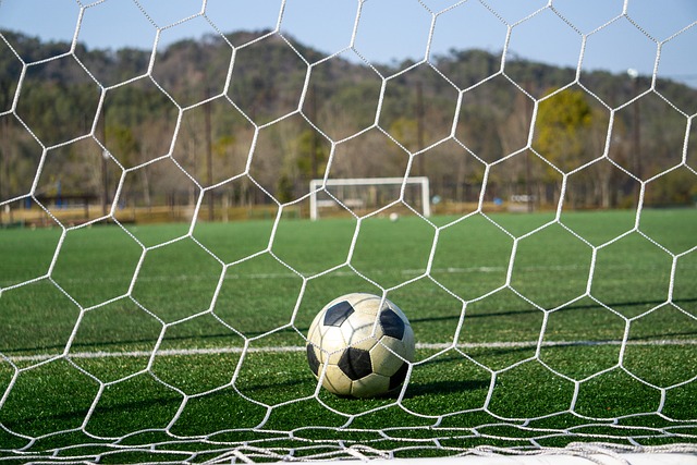 让整个联盟 让整个联盟