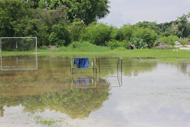 或许能为日 或许能为日