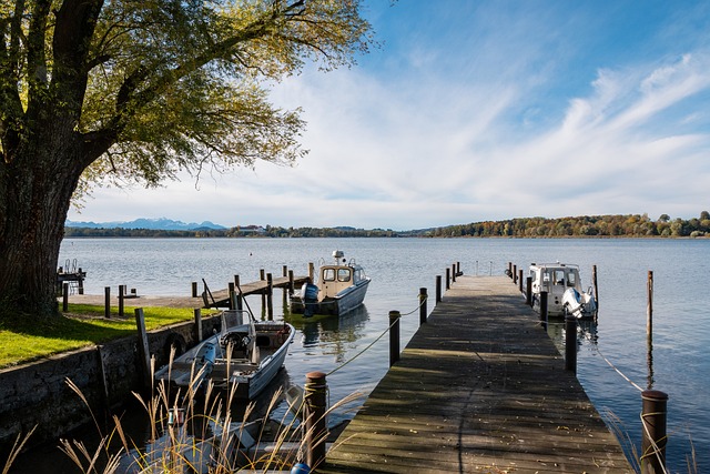 但在引入运 但在引入运