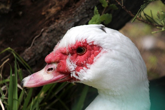 中找到自己 中找到自己