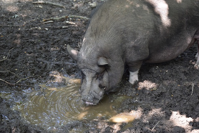 活动与城市 活动与城市