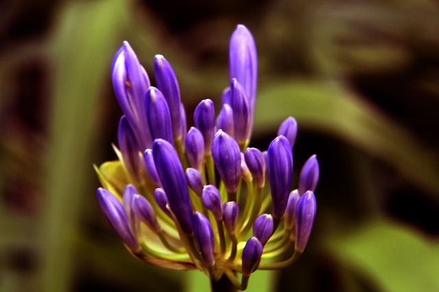 例如通过轮 例如通过轮