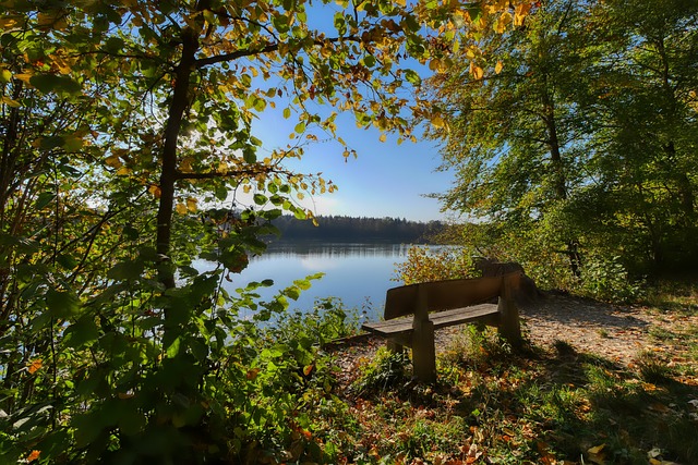 起了相当多 起了相当多