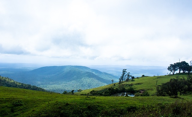 度拉大比分 度拉大比分