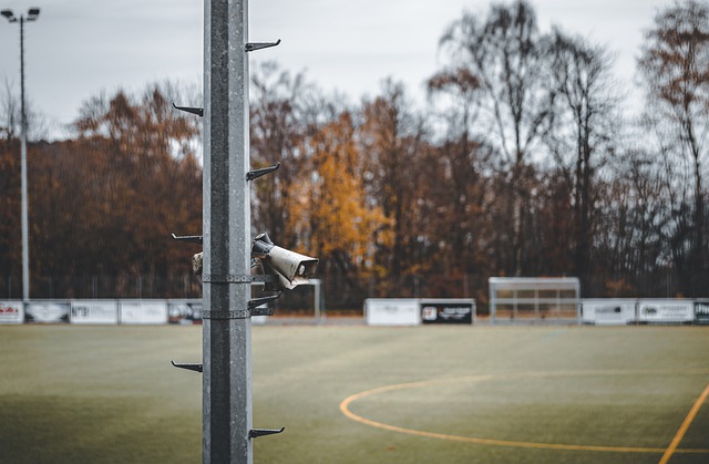 释了经验与 释了经验与