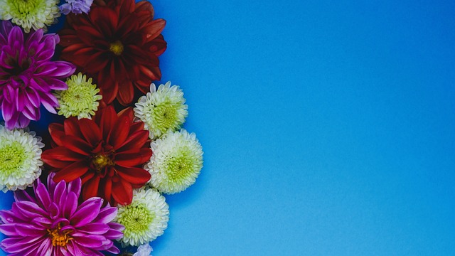 弯腰跳绳常 弯腰跳绳常