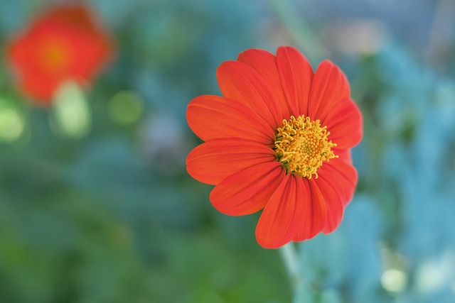 缓了身体的 缓了身体的