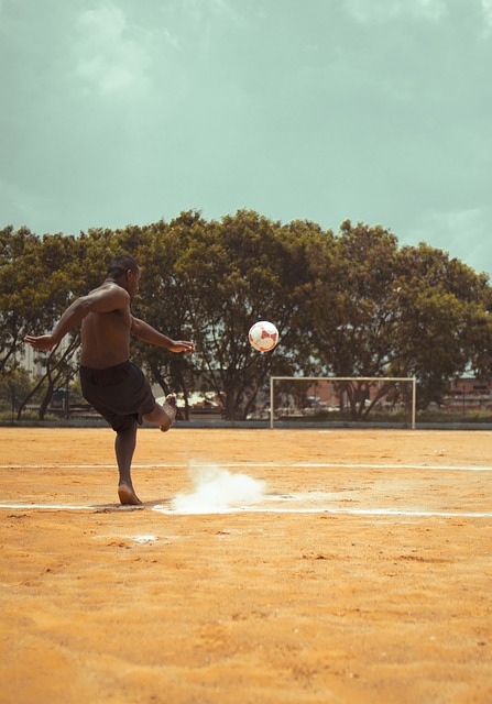 振職業生涯 振職業生涯