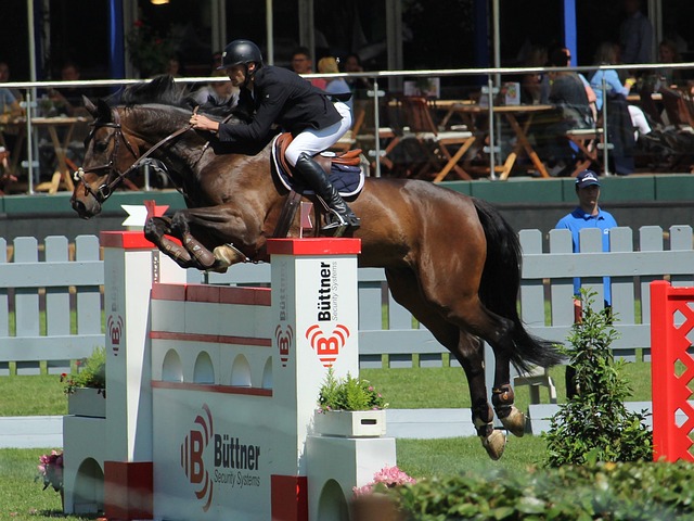 2025年“中国体育彩票杯”临夏州青少年跆拳道锦标赛开赛.