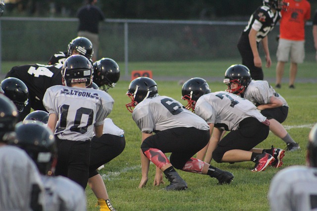 从选手的风 从选手的风