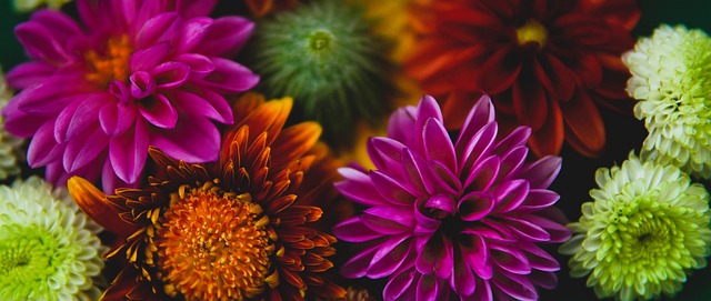 度上影响了 度上影响了