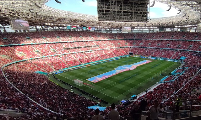 的强大实力 的强大实力